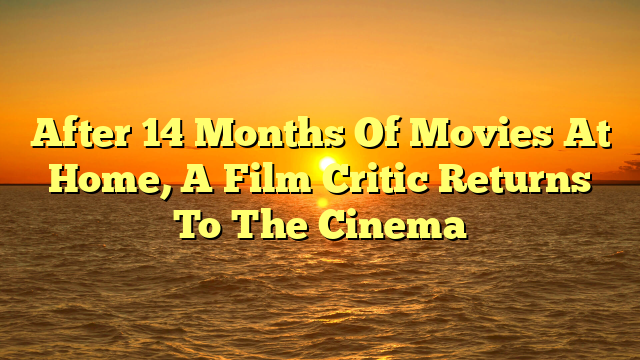 After 14 Months Of Movies At Home, A Film Critic Returns To The Cinema 